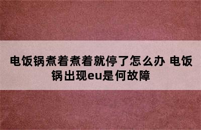 电饭锅煮着煮着就停了怎么办 电饭锅出现eu是何故障